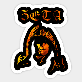 Zeta Fire Sticker